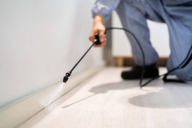 Licensed Mosquito Control service in Riesel, TX - Show Me Pest Control