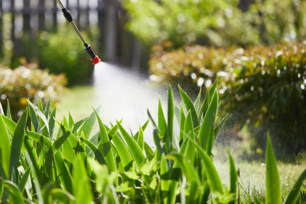 24/7 Emergency Mosquito Control experts in Riesel, TX